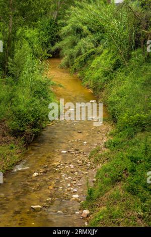 Umgebung des Flusses Tenes, der im Frühjahr durch Santa Eulàlia de Roncana führt (Vallès Oriental, Barcelona, Katalonien, Spanien) Stockfoto