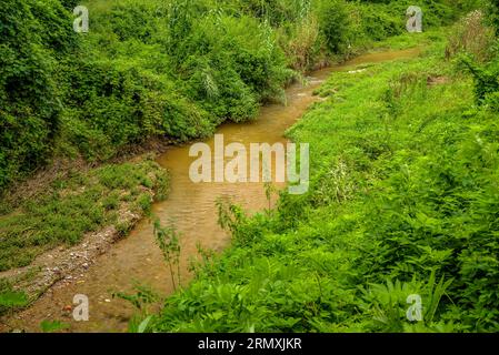 Umgebung des Flusses Tenes, der im Frühjahr durch Santa Eulàlia de Roncana führt (Vallès Oriental, Barcelona, Katalonien, Spanien) Stockfoto