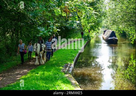 Fliegenboot Saturn, der durch den Montgomery-Kanal und durch Schleusen fährt, während er von einem Pferd gezogen wird. Stockfoto