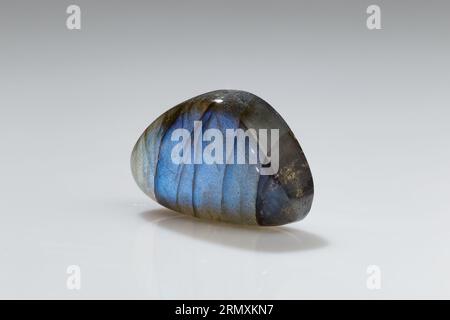 Polierter Labradorit-Mineral-Edelstein mit blauem Iridescence auf grauem Hintergrund Stockfoto