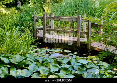 Brücke über Teich mit Lilienpolstern im Cleveland Botanical Garden, Cleveland, Ohio Stockfoto