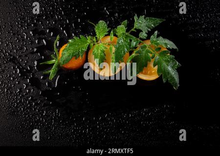 Feuchte gelbe Tomaten mit Blättern auf schwarzem Hintergrund Stockfoto