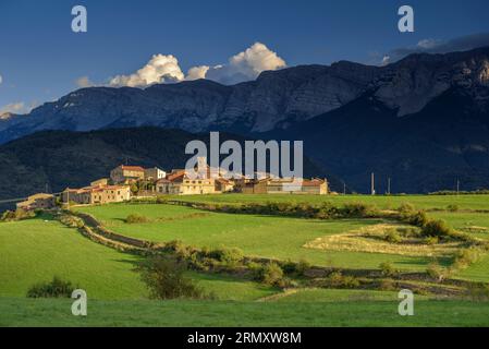 Vilanova de Banat, grüne Felder und die Cadí-Bergkette bei Sonnenuntergang im Spätsommer (Alt Urgell, Lleida, Katalonien, Spanien, Pyrenäen) Stockfoto