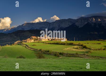 Vilanova de Banat, grüne Felder und die Cadí-Bergkette bei Sonnenuntergang im Spätsommer (Alt Urgell, Lleida, Katalonien, Spanien, Pyrenäen) Stockfoto