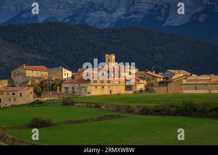 Vilanova de Banat, grüne Felder und die Cadí-Bergkette bei Sonnenuntergang im Spätsommer (Alt Urgell, Lleida, Katalonien, Spanien, Pyrenäen) Stockfoto