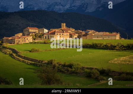 Vilanova de Banat, grüne Felder und die Cadí-Bergkette bei Sonnenuntergang im Spätsommer (Alt Urgell, Lleida, Katalonien, Spanien, Pyrenäen) Stockfoto