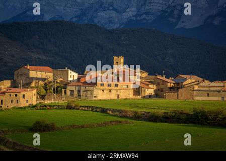 Vilanova de Banat, grüne Felder und die Cadí-Bergkette bei Sonnenuntergang im Spätsommer (Alt Urgell, Lleida, Katalonien, Spanien, Pyrenäen) Stockfoto