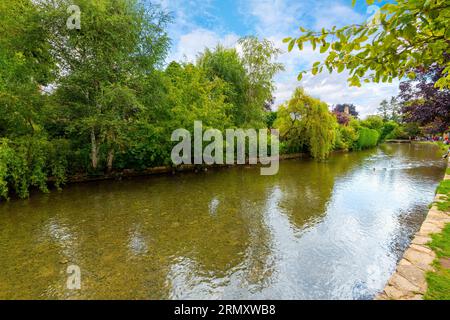 Der ruhige Fluss Windrush, der durch das Dorf Bourton-on-the-Water, Cotswold District, England fließt. Stockfoto