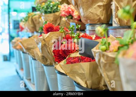 Blumenladen, Nahaufnahme frischer Blumen in Eimern, rote Dahlien Stockfoto