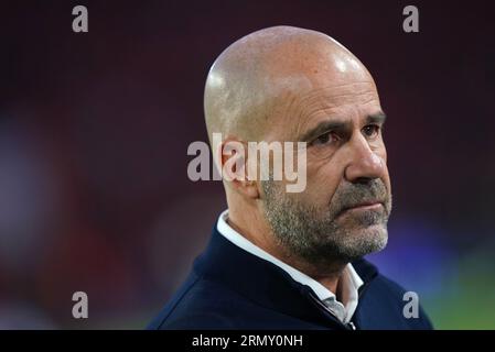 PSV Eindhoven-Manager Peter Bosz vor dem Play-off-Spiel der UEFA Champions League im Philips Stadion Eindhoven. Bilddatum: Mittwoch, 30. August 2023. Stockfoto