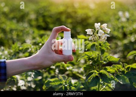 Probleme und Lösung der Gartensaison. Zugeschnittene Fotohand des Bauern hält weiße Flasche mit Modell für Gift, Pestizidflüssigkeit von Pflanzenkrankheiten und Stockfoto