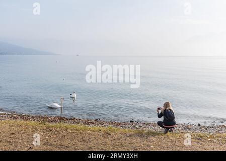 Frau mit Handy, die Fotos von den Schwänen auf dem See in der Natur macht. Stockfoto