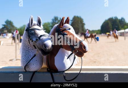 Hobbypferde warten auf die Reiter. Reitsport. Reitausrüstung. Sport. Sommer. Die Sonne. Banner. Im Freien. Nahaufnahme Stockfoto