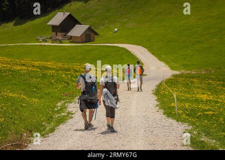 Zwei Paare von anonisierten Wanderern schlendern auf einem Schotterweg in einem wunderschönen grünen Tal mit Blumen und einigen Hütten auf dem Weg. Stockfoto