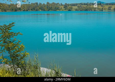 Kristallblaues Wasser des Sees in Kocevje oder Kocevsko jezero, mit ruhigem Badewasser an einem Sommertag sichtbar. Tolle Abkühlung im Sommer. Stockfoto