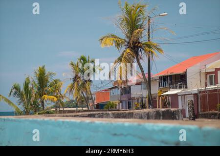 Typische Häuser in puerto limon, einer Küstenstadt in costa rica an einem sonnigen Tag. In der Nähe des Strandes sind Palmen zu sehen. Stockfoto