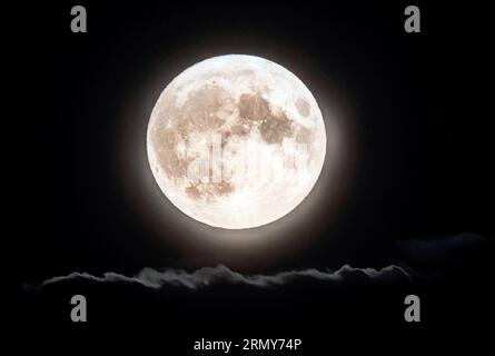 Der blaue Mond erhebt sich über Leeds, Yorkshire. Der blaue Mond bezieht sich auf den zweiten Vollmond in einem Kalendermonat, der etwa alle zwei oder drei Jahre stattfindet. Dieser ist auch Supermond, wenn der natürliche Satellit der Erde etwa 14 % größer und 30 % heller am Himmel erscheint, wenn er seinen nächsten Punkt zur Erde erreicht. Bilddatum: Mittwoch, 30. August 2023. Stockfoto