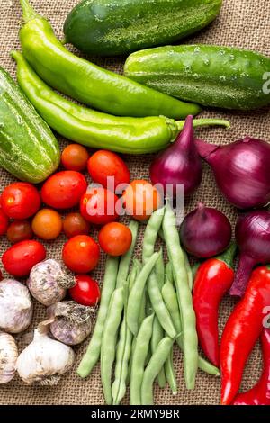 Ein flaches Lagenfoto einer Auswahl an Gemüse, bestehend aus Gurken, grüner und roter Paprika, grünen Bohnen, roten Zwiebeln, Knoblauch und Kirschtomaten. Stockfoto