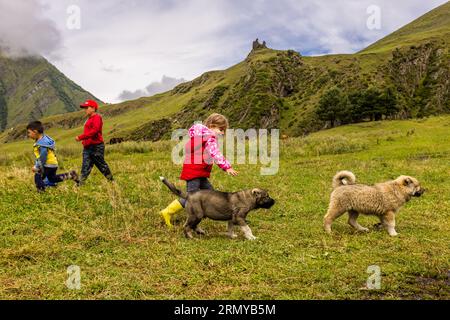 In Georgien haben Kinder drei Monate Sommerurlaub. Dieses Mal verbringen die Familien der Tushes hauptsächlich in den Bergdörfern von Tushetia Kinder spielen mit ihren Hunden im Dorf Dano bei Dartlo in Tusheti, Georgia Stockfoto