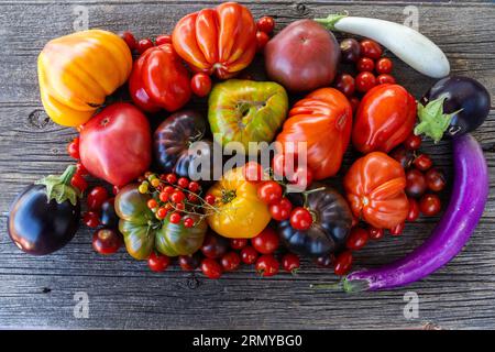Bunte Erbstücke Tomaten auf grauem rustikalem Hintergrund Stockfoto