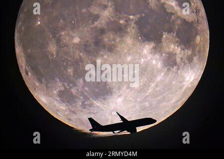 Ein Flugzeug passiert den blauen Mond in London. Der blaue Mond bezieht sich auf den zweiten Vollmond in einem Kalendermonat, der etwa alle zwei oder drei Jahre stattfindet. Dieser ist auch Supermond, wenn der natürliche Satellit der Erde etwa 14 % größer und 30 % heller am Himmel erscheint, wenn er seinen nächsten Punkt zur Erde erreicht. Bilddatum: Mittwoch, 30. August 2023. Stockfoto