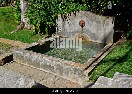 Antiker Brunnen mit Löwen im Garten in Petropolis, Rio de Janeiro, Brasilien Stockfoto