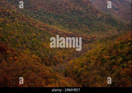 Valley of Fall Colors entlang des Blue Ridge Parkway in North Carolina Stockfoto