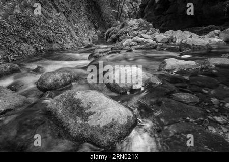 Fluss bei Pinal de Amoles, Queretaro Mexiko Stockfoto