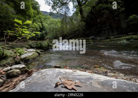 Fluss bei Pinal de Amoles, Queretaro Mexiko Stockfoto