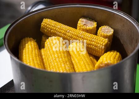 Ein Straßenhändler kocht Mais in einem Topf und verkauft ihn. Viel süßer, köstlicher und gekochter Mais. Stockfoto