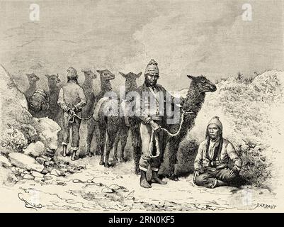 Bolivianische einheimische Männer führen eine Herde Lamas, Bolivien, Südamerika. Reise auf der Suche nach den Überresten der Crevaux Mission von Emile-Arthur Thouar 1884. Alte Gravur aus dem 19. Jahrhundert von Le Tour du Monde 1906 Stockfoto