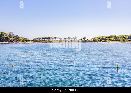 Die Insel Sainte-Marguerite im Archipel von Lérins gegenüber von Cannes. Île Sainte-Marguerite, dans l'archipel de Lérins Gesicht à Cannes. Stockfoto