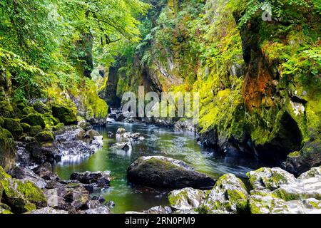 Fairy Glen Gorge am Conwy River, Betws-y-Coed, Snowdonia National Park, Wales, Großbritannien Stockfoto