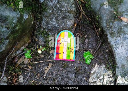 Little Fey Door in the Forest in der Nähe von Fairy Glen Gorge, Betws-y-Coed, Snowdonia National Park, Wales, Vereinigtes Königreich Stockfoto