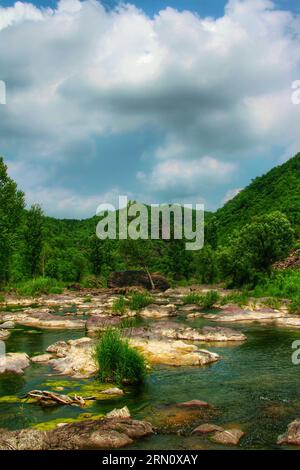 Genießen Sie die ruhige Schönheit eines Flusses, der von hoch aufragenden grünen Bäumen und einem weichen, bewölkten blauen Himmel geschmückt ist, eine Szene der Ruhe der Natur. Stockfoto