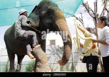 (141125) -- PHNOM PENH, 25. November 2014 -- Menschen tragen eine Jasminkette am Hals des Elefanten Sambo in Phnom Penh, Kambodscha, 25. November 2014. Sambo, der berühmte Elefant, der seit Jahren als eine der berühmtesten Attraktionen der Hauptstadt Phnom Penh bekannt ist, wird sich diese Woche in die nordöstliche kambodschanische Provinz Mondulkiri zurückziehen, sagte ein Besitzer und Beamter Dienstag. ) KAMBODSCHA-PHNOM PENH-ELEPHANT-RETIREMENT Sovannara PUBLICATIONxNOTxINxCHN Phnom PENH Nov 25 2014 Prominente tragen eine Jasminkette AM Elefanten Sambo S Hals in Phnom PENH Kambodscha Nov 25 2014 Sambo der berühmte Elefant, der seit Jahren als einer der Hauptstadt Ph bekannt ist Stockfoto