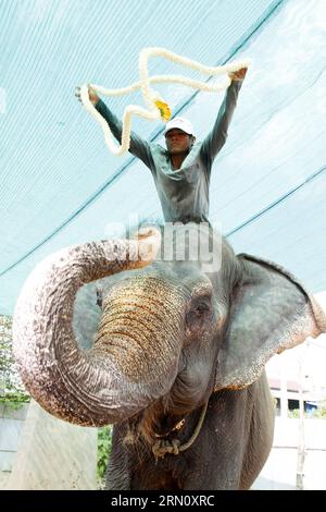 (141125) -- PHNOM PENH, 25. November 2014 -- Ein Mann trägt eine Jasminkette am Hals des Elefanten Sambo in Phnom Penh, Kambodscha, 25. November 2014. Sambo, der berühmte Elefant, der seit Jahren als eine der berühmtesten Attraktionen der Hauptstadt Phnom Penh bekannt ist, wird sich diese Woche in die nordöstliche kambodschanische Provinz Mondulkiri zurückziehen, sagte ein Besitzer und Beamter Dienstag. ) KAMBODSCHA-PHNOM PENH-ELEPHANT-RETIREMENT Sovannara PUBLICATIONxNOTxINxCHN Phnom PENH Nov 25 2014 ein Mann trägt eine Jasminkette AM Elefanten Sambo S Hals in Phnom PENH Kambodscha Nov 25 2014 Sambo der berühmte Elefant, der seit Jahren als einer der Hauptstadt Phnom P bekannt ist Stockfoto