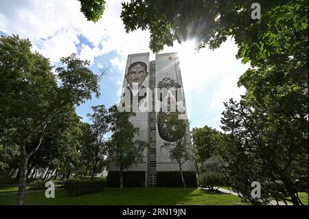 Artpark Tegel, Urban Street Art auf 8 Hochhäusern in Berlin Tegel, Pixel Pancho; Spielkarte Stockfoto