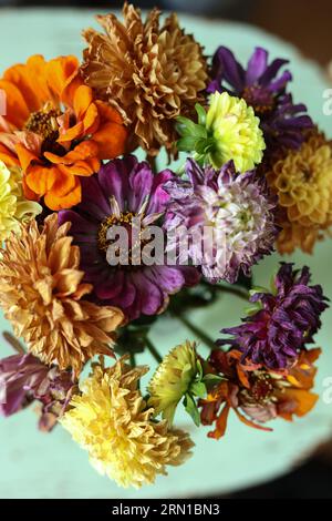 Bunte trockene Sommerblumen auf minzfarbenem Hintergrund Stockfoto