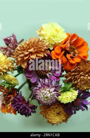 Bunte trockene Sommerblumen auf minzfarbenem Hintergrund Stockfoto