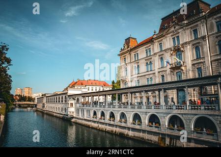 Ljubljanica und der Zentralmarkt von Ljubljana, Slowenien Stockfoto