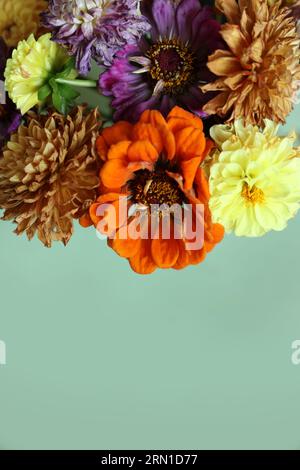 Bunte trockene Sommerblumen auf minzfarbenem Hintergrund Stockfoto