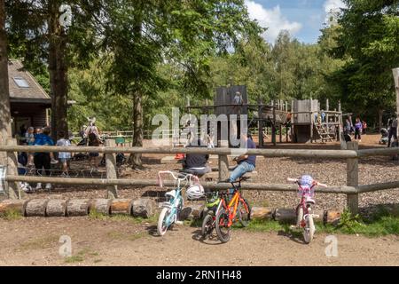 Alice Holt Forest an einem geschäftigen Sommertag mit Kindern, die auf dem hölzernen Klettergerät auf dem Abenteuerspielplatz in Hampshire, England, Großbritannien spielen Stockfoto