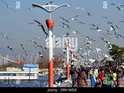 KUNMING, 22. Januar 2015 -- Menschen genießen sich mit schwarzen Möwen in der Haigeng Levee des Dianchi Sees in Kunming, Hauptstadt der südwestchinesischen Provinz Yunnan, 22. Januar 2015. Viele einheimische Bürger kommen am Donnerstag auf den Deich, um die Möwen zu sehen, da die Temperatur moderat und die Luft klar ist. )(wjq) CHINA-YUNNAN-KUNMING-TOURISMUS (CN) YangxZongyou PUBLICATIONxNOTxINxCHN Kunming 22. Januar 2015 Prominente genießen sich mit Schwarzköpfigen in der Haigeng Levee des Dianchi Sees in Kunming Hauptstadt Südwestchinas Provinz S Yunnan 22. Januar 2015 VIELE lokale Bürger kommen in die Levee Stockfoto