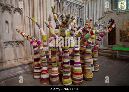 D. Rachel Goodison - Schlüpflinge bei Wells Art Contemporary (WAC), Wells Cathedral, in Wells Somerset Stockfoto