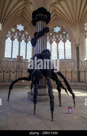 L. Nicola Turner - der ungebetene Gast aus der nicht in Erinnerung gebliebenen Vergangenheit im Wells Art Contemporary (WAC), Wells Cathedral, in Wells Somerset Stockfoto