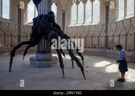 L. Nicola Turner - der ungebetene Gast aus der nicht in Erinnerung gebliebenen Vergangenheit im Wells Art Contemporary (WAC), Wells Cathedral, in Wells Somerset Stockfoto