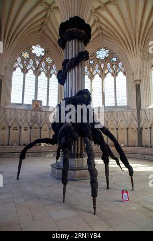 L. Nicola Turner - der ungebetene Gast aus der nicht in Erinnerung gebliebenen Vergangenheit im Wells Art Contemporary (WAC), Wells Cathedral, in Wells Somerset Stockfoto