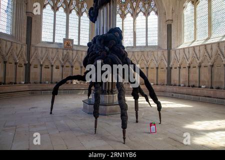 L. Nicola Turner - der ungebetene Gast aus der nicht in Erinnerung gebliebenen Vergangenheit im Wells Art Contemporary (WAC), Wells Cathedral, in Wells Somerset Stockfoto