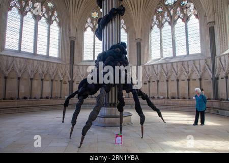 L. Nicola Turner - der ungebetene Gast aus der nicht in Erinnerung gebliebenen Vergangenheit im Wells Art Contemporary (WAC), Wells Cathedral, in Wells Somerset Stockfoto